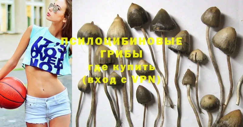 магазин продажи   Уфа  Галлюциногенные грибы Magic Shrooms 